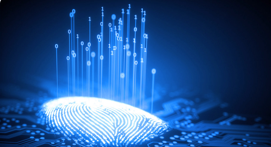 rb88���а�_�����������