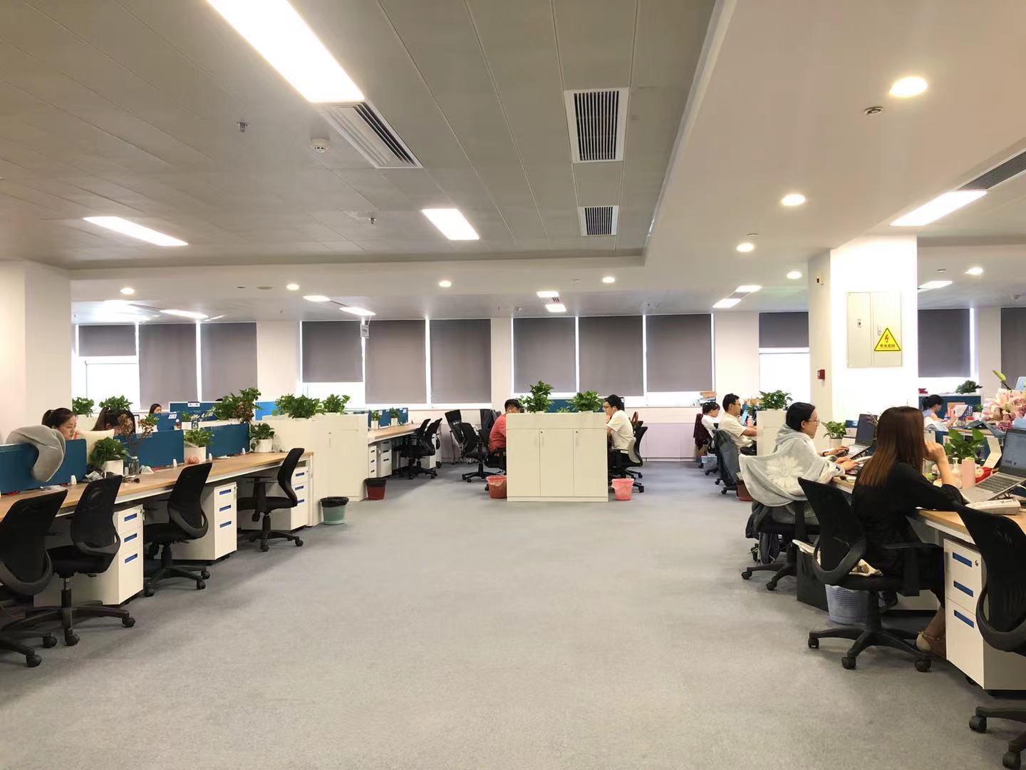 rb88���а�_�����������